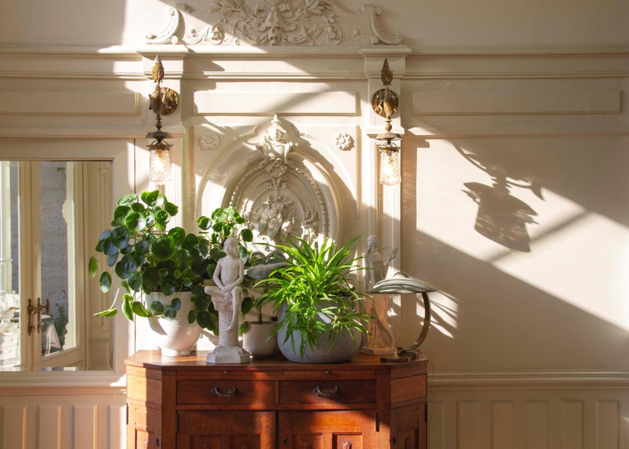Huis Dujardin Bed&Breakfast Amberes Exterior foto