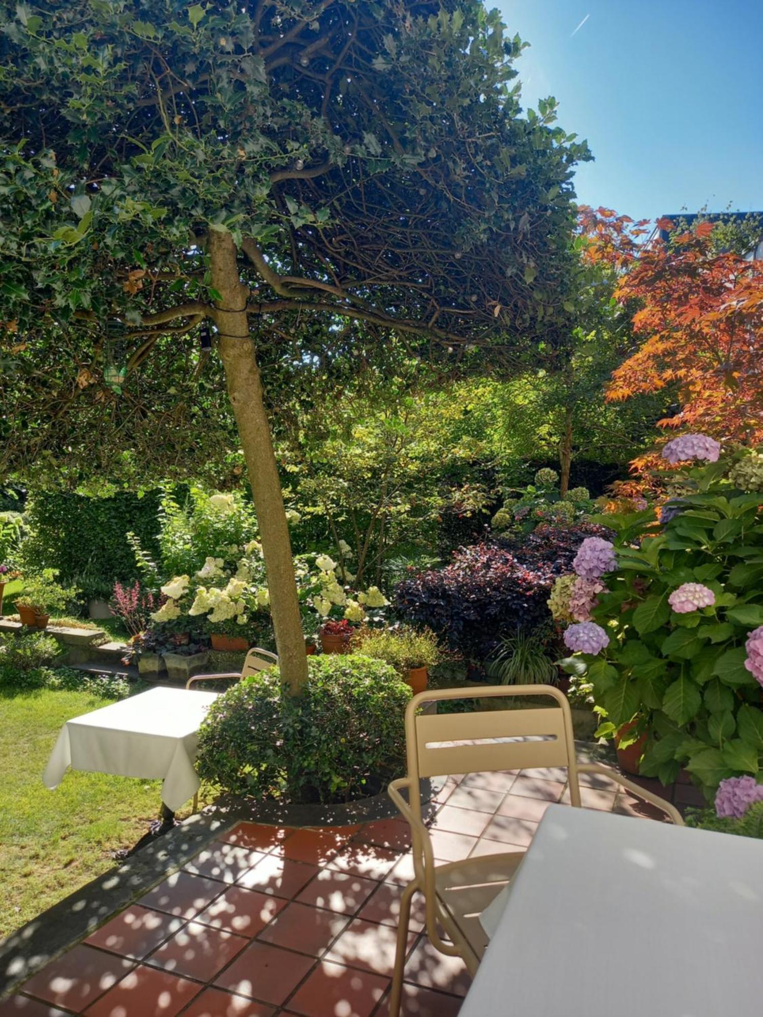 Huis Dujardin Bed&Breakfast Amberes Exterior foto